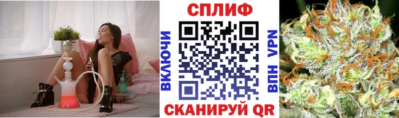 Бошки марихуана конопля  Каменногорск 